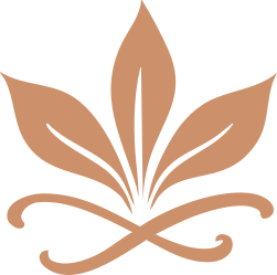 Logo de Vanoréa