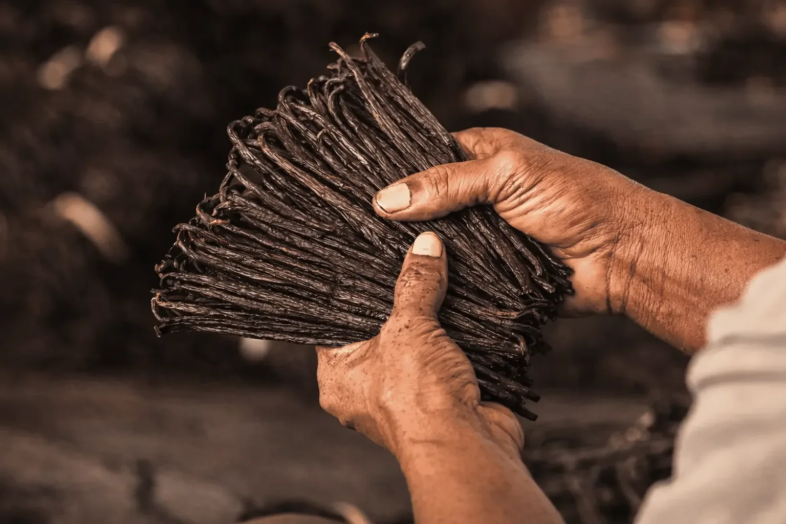Notre philosophie Vanoréa autour de la vanille naturelle